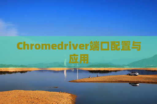 Chromedriver端口配置与应用