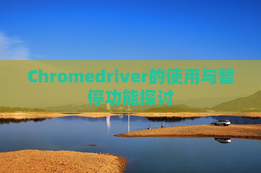 Chromedriver的使用与暂停功能探讨