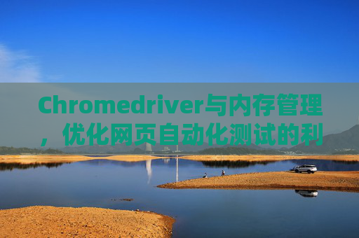 Chromedriver与内存管理，优化网页自动化测试的利器
